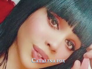 Catalina_fox