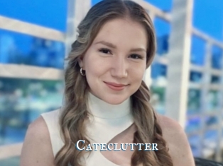 Cateclutter