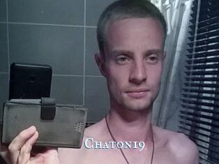 Chaton19