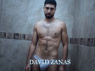 DAVID_ZANAS