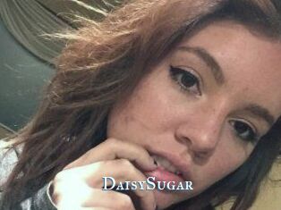 Daisy_Sugar