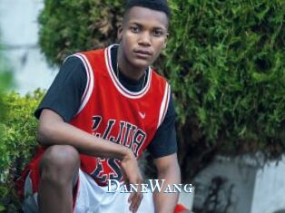 DaneWang