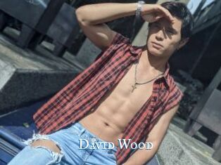 David_Wood