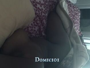 Domic101
