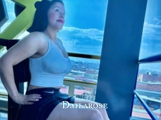 Dailarose