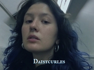 Daisycurles