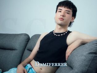 Damiferrer