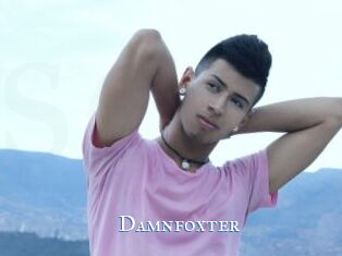 Damnfoxter