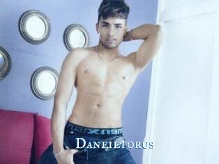Daneil_torus