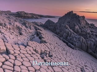 Davidhmodel