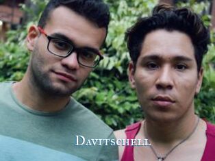 Davitschell