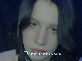 Dawnhawkinson