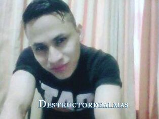 Destructordealmas