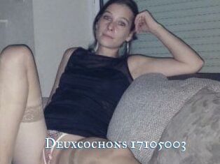 Deuxcochons