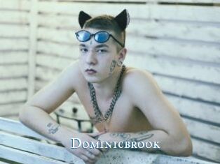 dominicbrook sexchat