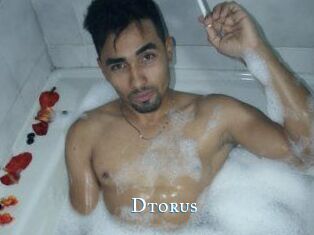 Dtorus