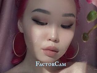 FactorCam