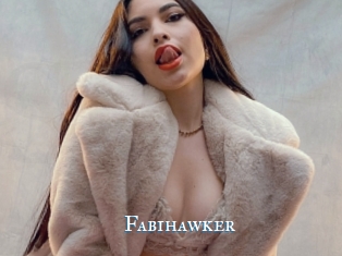 Fabihawker