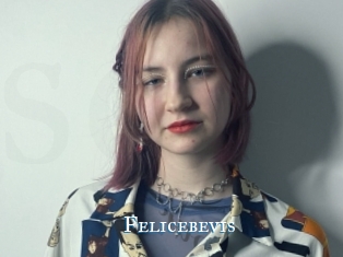 Felicebevis