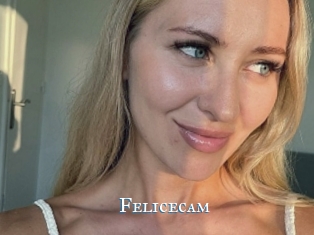 Felicecam