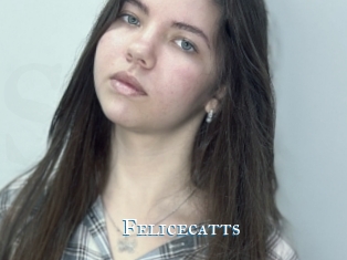 Felicecatts