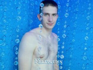 Felixgunn
