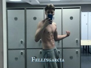 Fellixgarcia