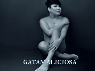 GATAMALICIOSA
