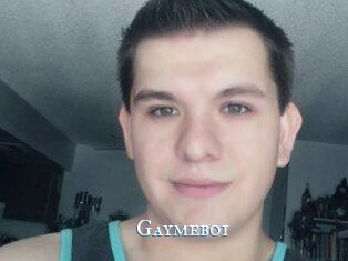 Gaymeboi