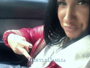 GentleDahlia
