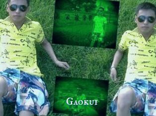 Gaokui