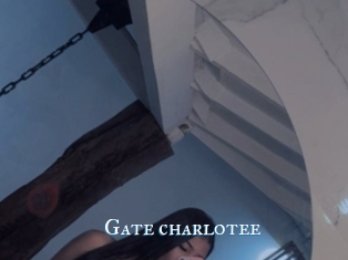 Gate_charlotee