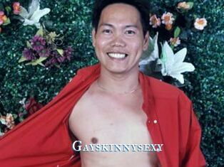 Gayskinnysexy