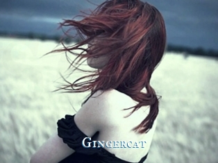 Gingercat