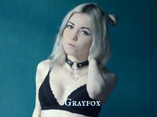 Grayfox