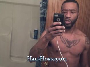HalfHorse9912