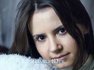 Harley_Due