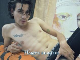 Harrys_bigstick