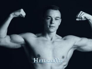 HeilgarVip