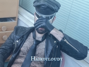 Hairycloudy