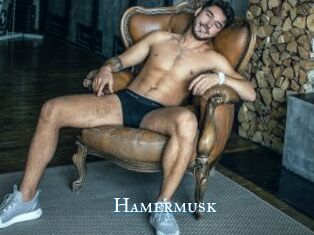 Hamermusk
