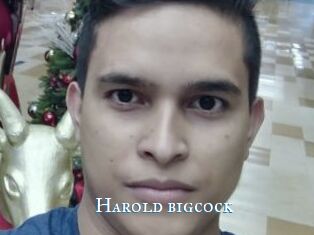 Harold_bigcock