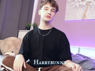 Harrybunny