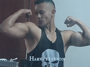 Harveytecson