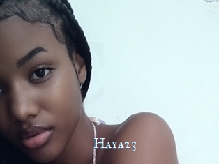 Haya23
