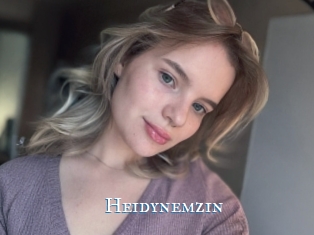 Heidynemzin