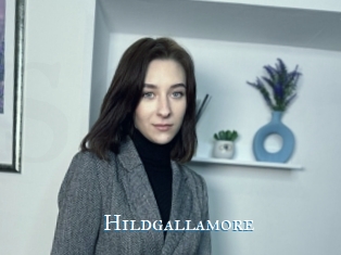 Hildgallamore