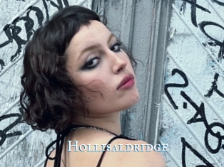 Hollisaldridge