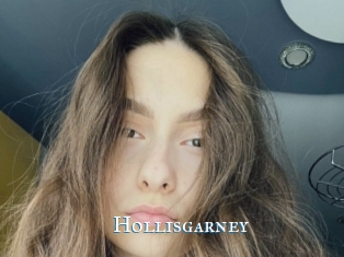 Hollisgarney