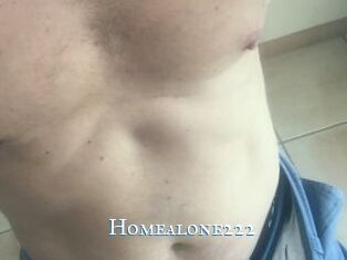 Homealone222